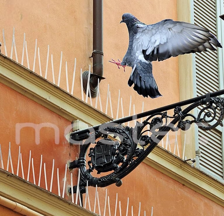 Prevent birds from landing and damaging rooftops, balconies, and shops with durable, easy-to-install