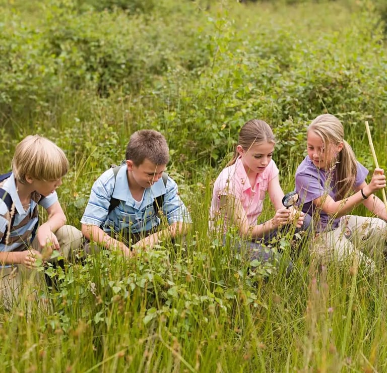 Patyriminis mokymasis