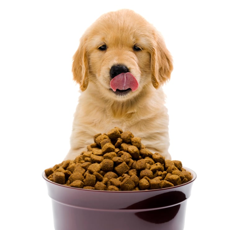 Dog Food