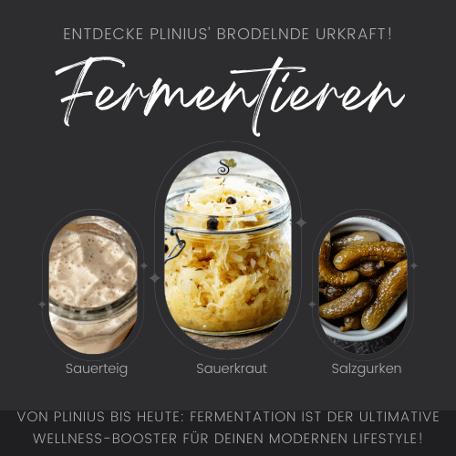 Fermentieren Sanapendium