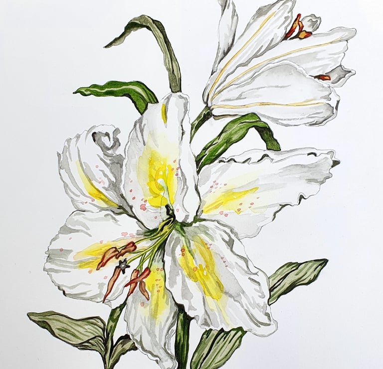 Detail of a watercolour painting of a bunch of lilies by Aimee Gallagher
