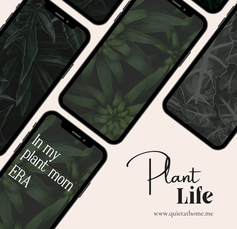 green aesthetic indoor plant phone wallpapers featuring leafy houseplants
