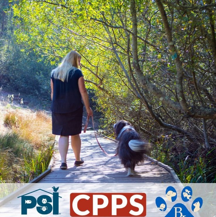 dog walking pet sitting walking dog on california trail