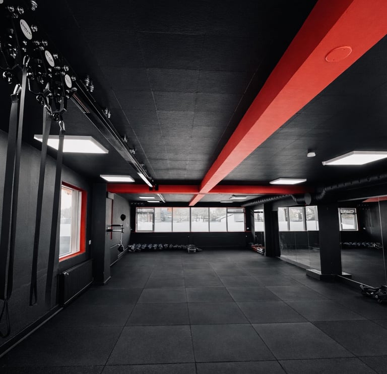 Reykjavik Fight Club