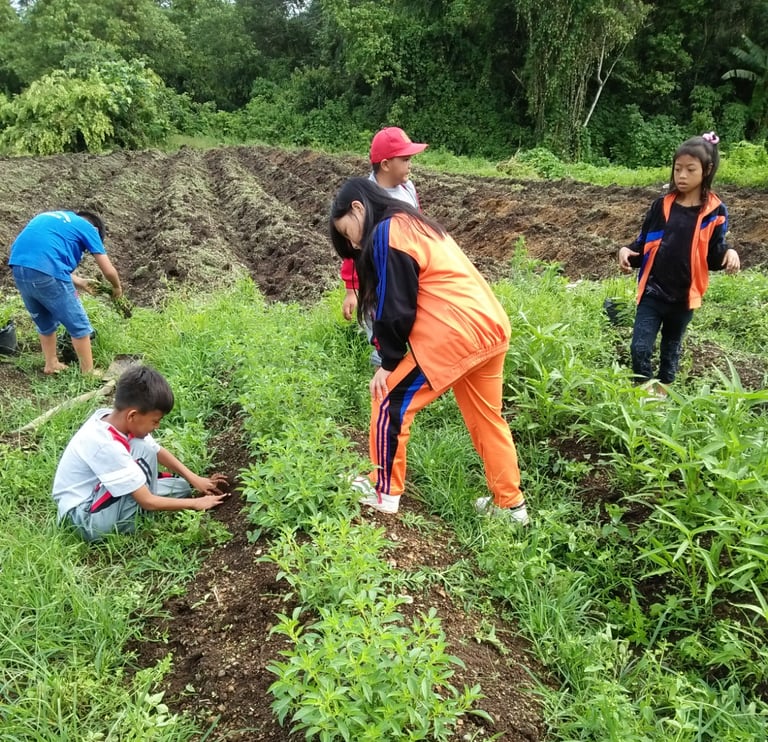 a group of children working in a field