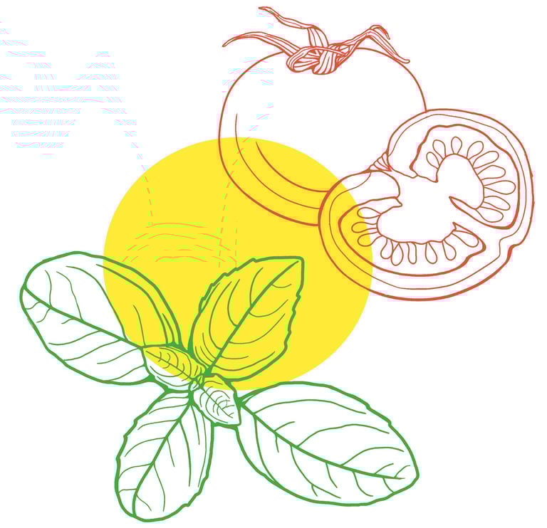 Basil tomatoes line illustration