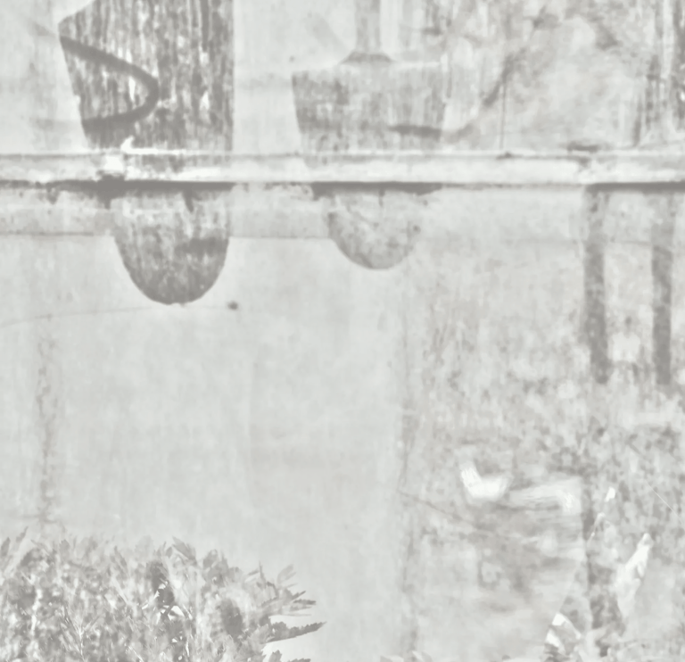 Shadows of garden tools silhouetted behind a misty, fogged glass window pane.