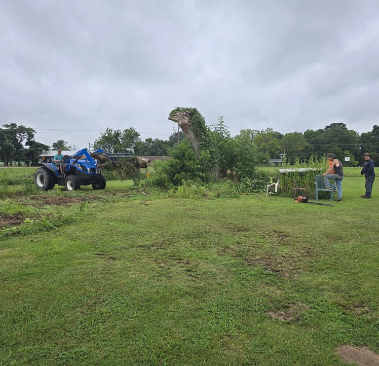 Removing a large portion of the tree limbs