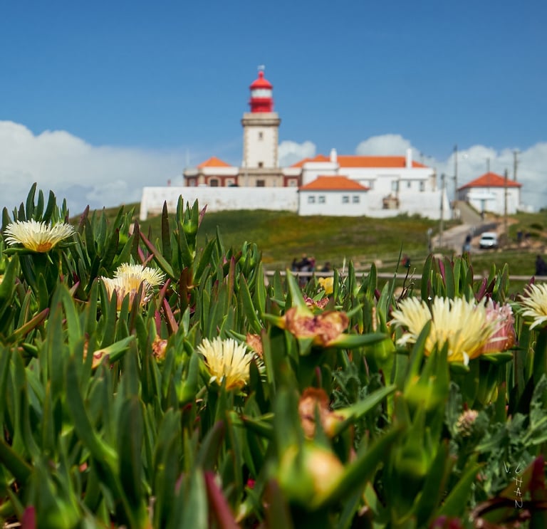 Flowers and grass with a lighthouse tower in the background