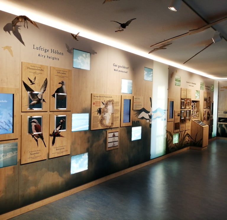 Ausstellung Nationalparkhaus Hiddensee