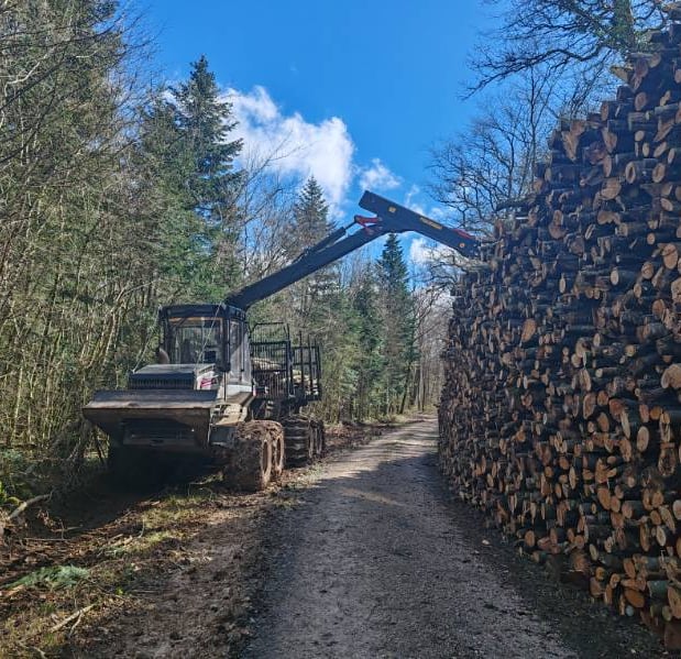 Exploitant forestier