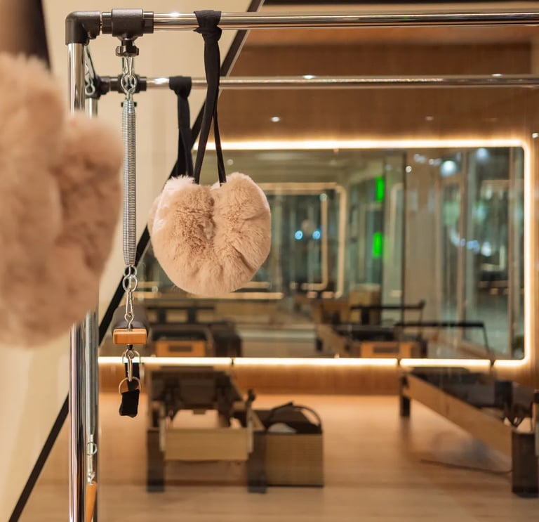 Reformer Cadillac Pulse