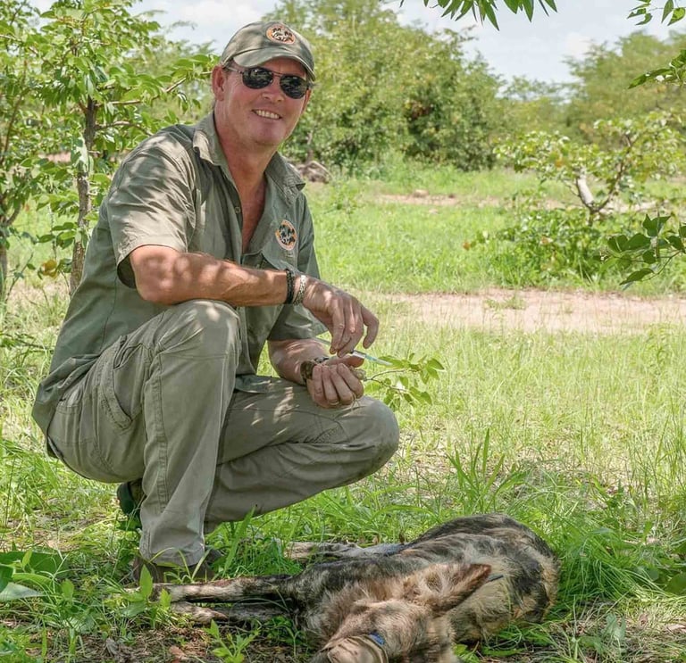 Peter Blinston in the field with immobilised wild dog