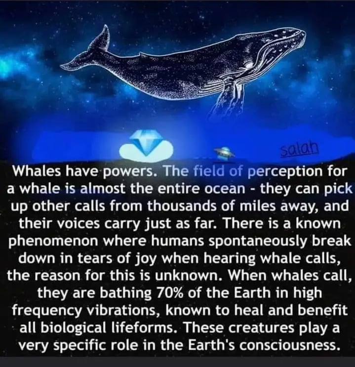 Power of whales
