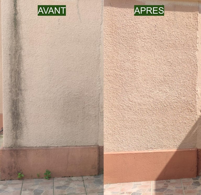 Façade maison – nettoyage profondeur