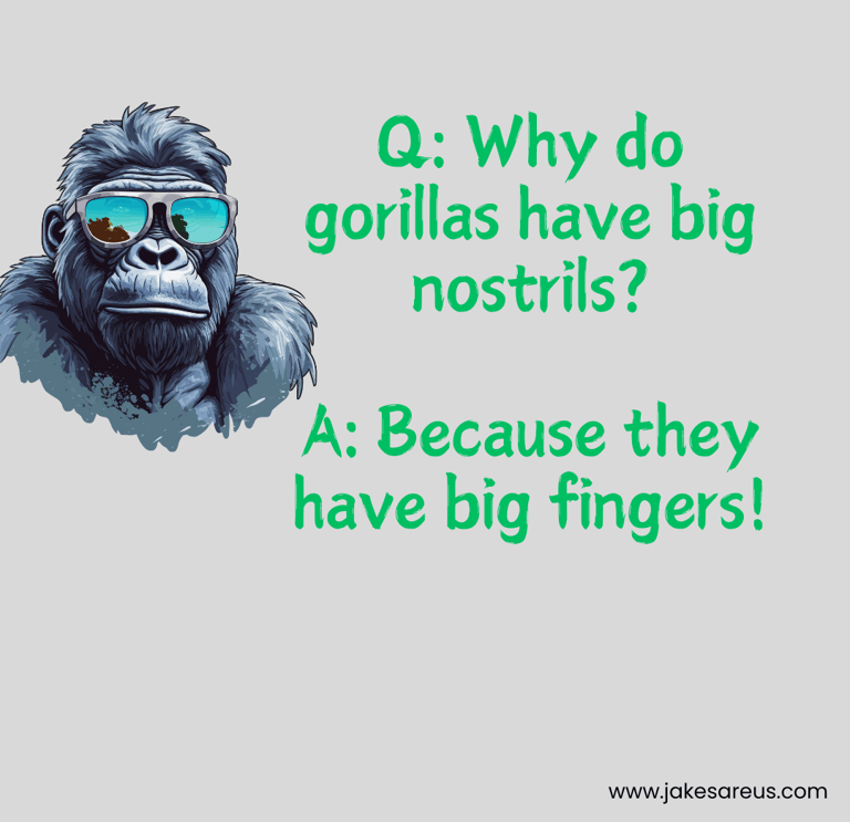 Q: Why do gorillas have big nostrils?  A: Because they have big fingers!