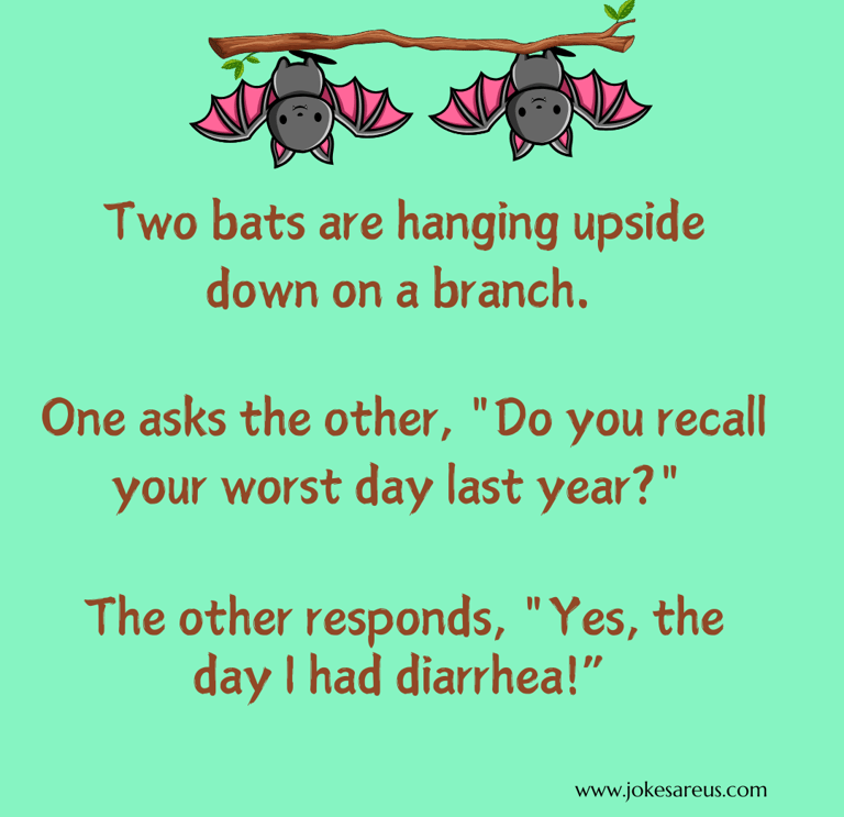 1 bat to another while hanging on a branch,"Do you recall your worst day?"Yes the day I had diarrhea