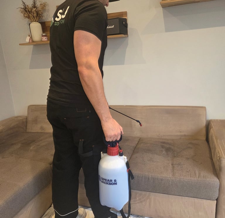 Professionnel qui nettoie et détache un canapé à Grenoble