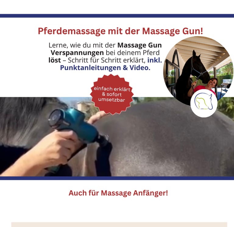 Massage Gun beim Pferd richtig einsetzen