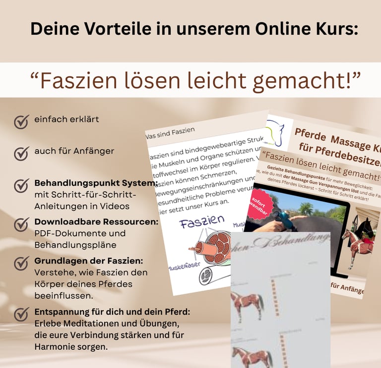 Online Kurs für Pferde Teil 1