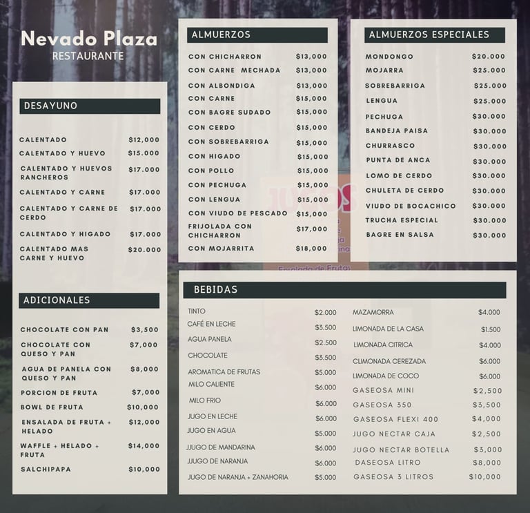 Menú Restaurante Nevado Plaza 