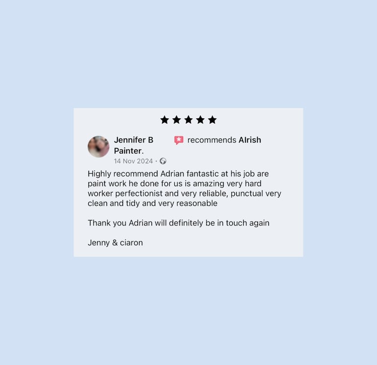 A 5-star customer review praising professional paint work by Alrish for being clean, tidy, and reliable.