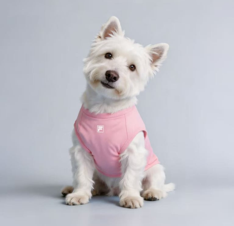 chaleco personalizado para mascotas