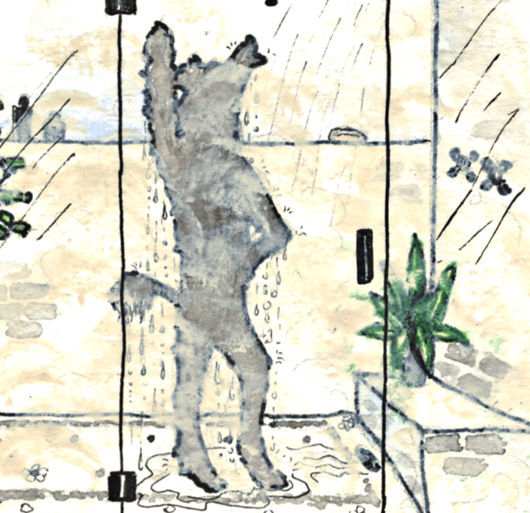 a dog in a shower