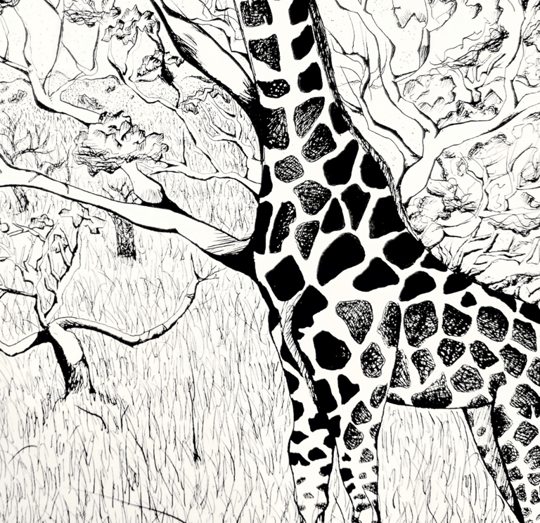 a giraffe standing in a savannah with trees