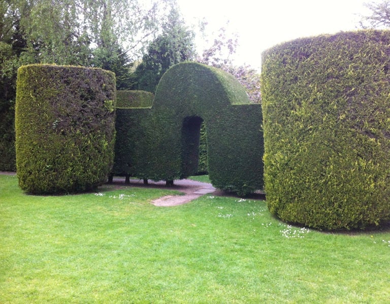 hedge trimming newcastle upon tyne
