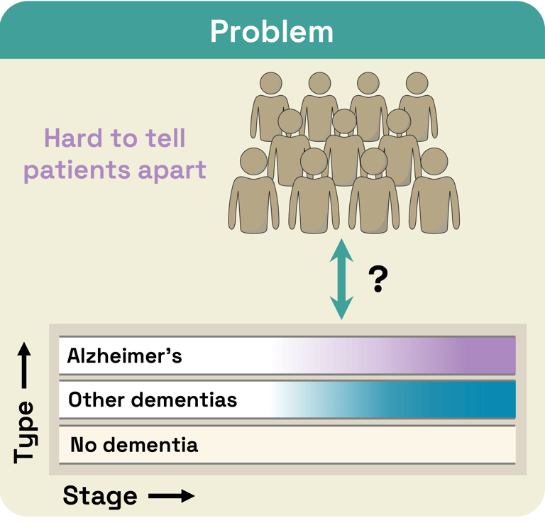 It's hard to tell patients apart - we need to know the type and stage of dementia.