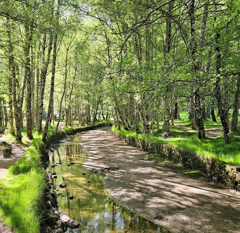 private custom tours hikes serra da estrela geopark