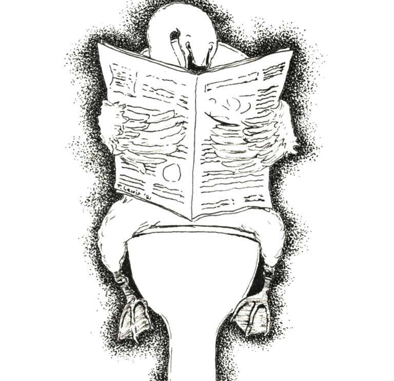 a swan sitting on a toilet seat with a newspaper