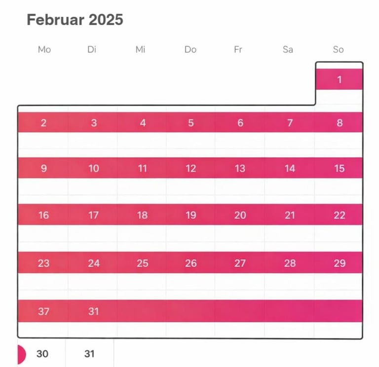 Belegter Buchungskalender einer Ferienwohnung mit hoher Auslastung