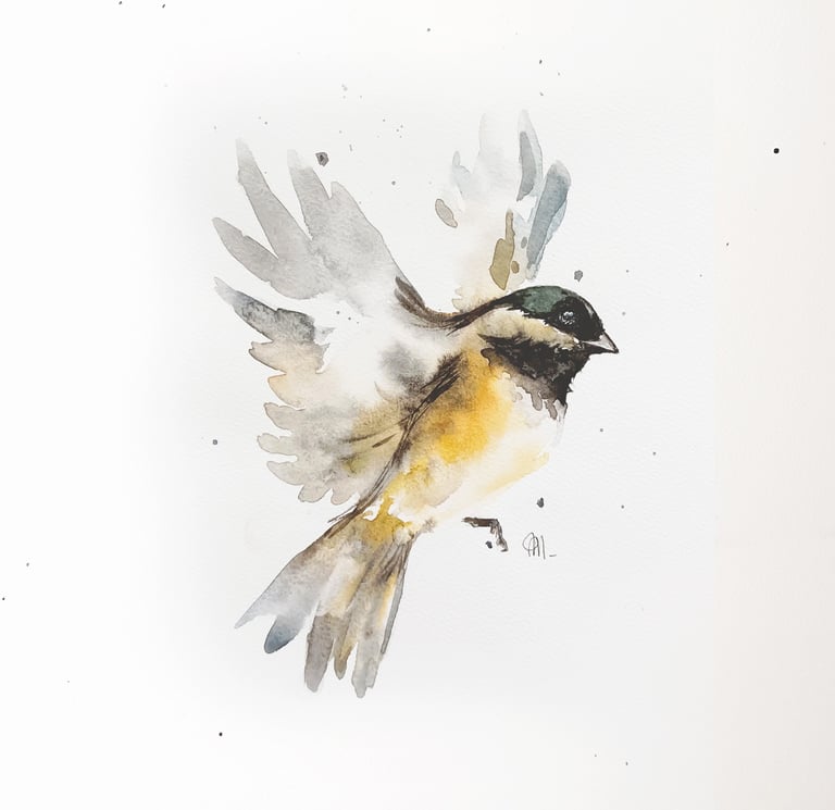 Marie Potel Oiseau vol aquarelle
