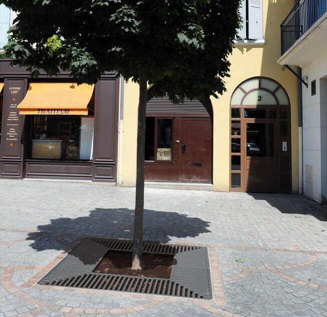 Medžio šaknų ir kamieno apsaugos