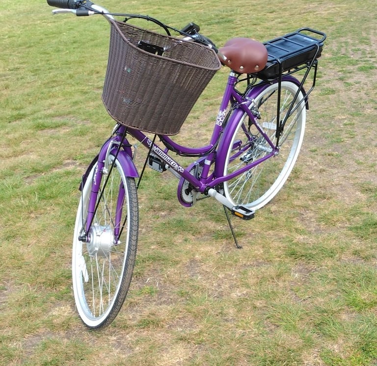 Dutch Elevtric Bike Convertion 