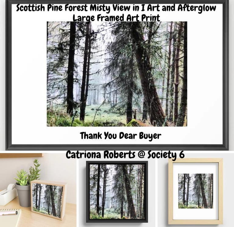 Wall Art featuring the design Scottish Pine Forest Misty View in Intelligent Art and Afterglow.
