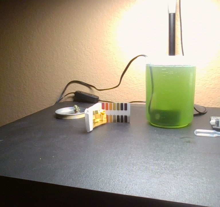 Small scale growing chlorella algae