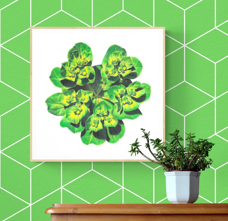 Green flower print framed