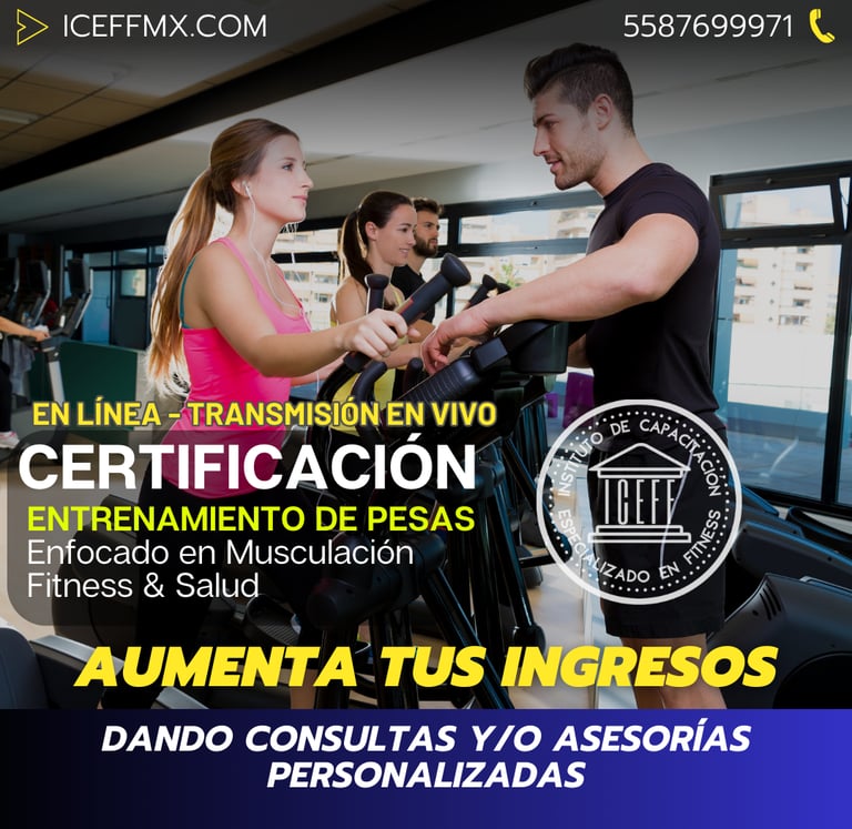 CURSO ENTRENADOR FITNESS