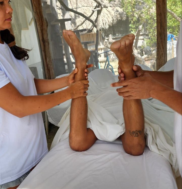 wellness training and massage education