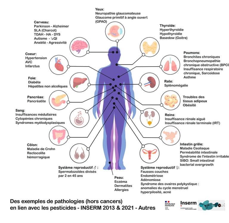 PESTICIDES SANTÉ MALADIES