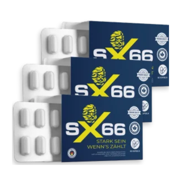 sx66