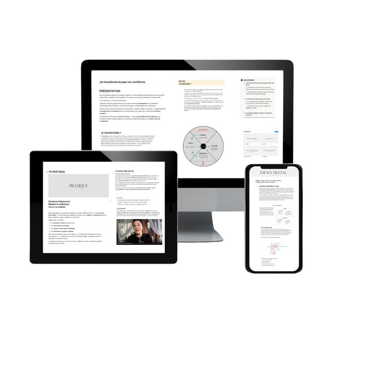 Système de transformation intérieure et reprogrammation émotionnelle