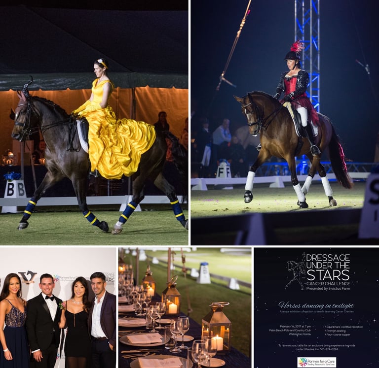 Dressage Under The Stars 