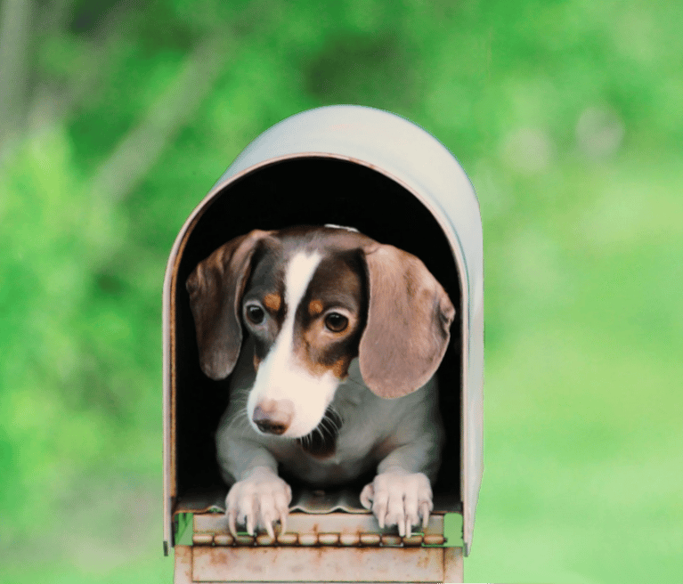 Illustration de la politique de livraison et de retours de Good and Tag