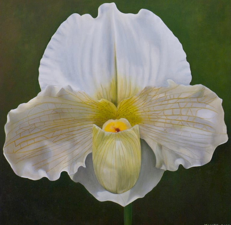 Christine Knize, Paphipedilum,Oil on Canvas, Monumental Orchid Paintings