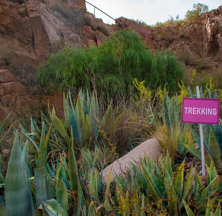 pulsar retiro julio 2026