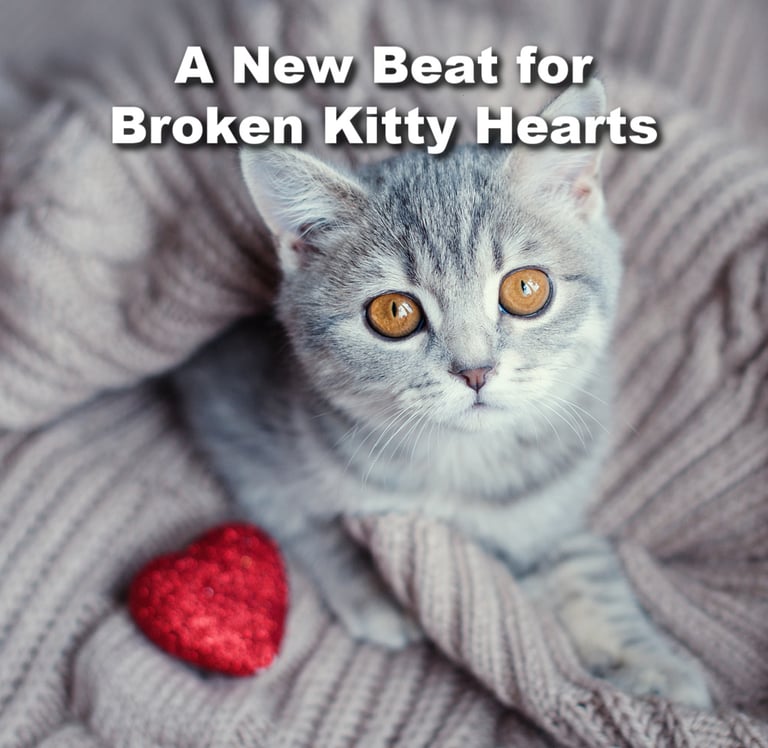 Fluffy gray tabby kitten lying beside a sparkly heart-shaped pillow, looking relaxed and cozy.